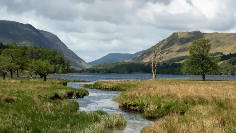Lake and trees in the Lake District