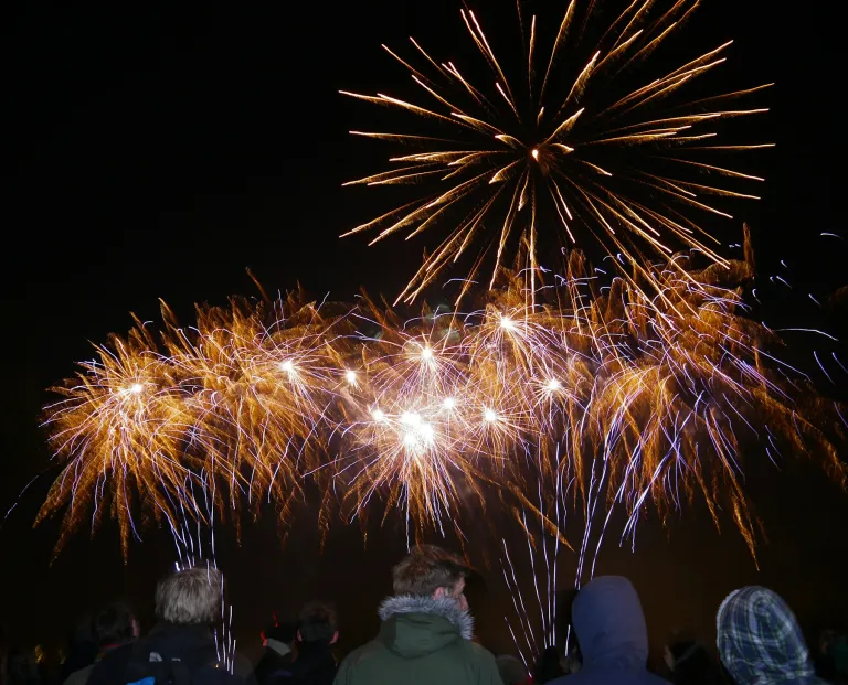 People watching golden and purple fireworks explode in the night sky