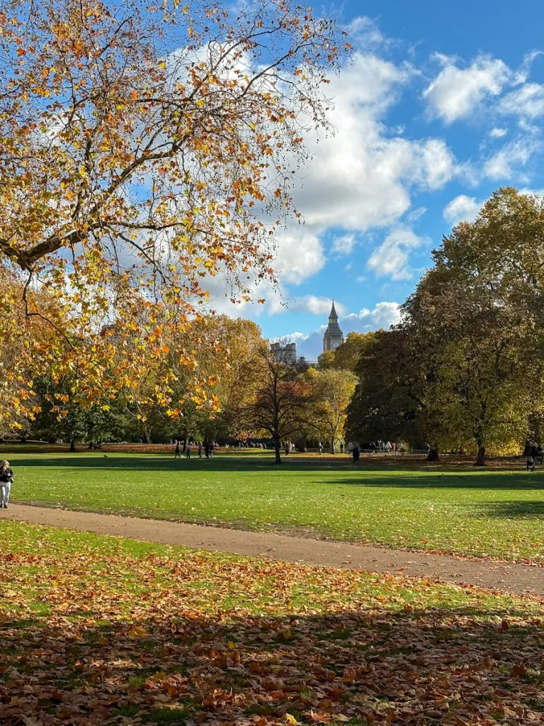 Big Ben beyond autumn trees in St James's Park